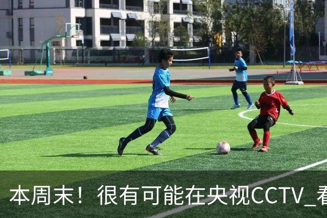 本周末！很有可能在央视CCTV 看到成都蓉城VS大连英博 天王山之战